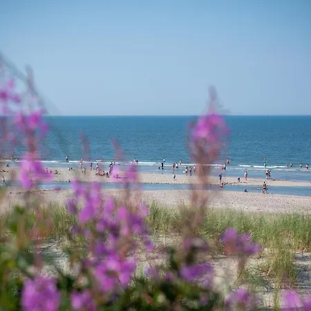 Arche Svea Wiesenpieper