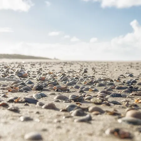 Arche Svea Wiesenpieper سبيكيرأوخ