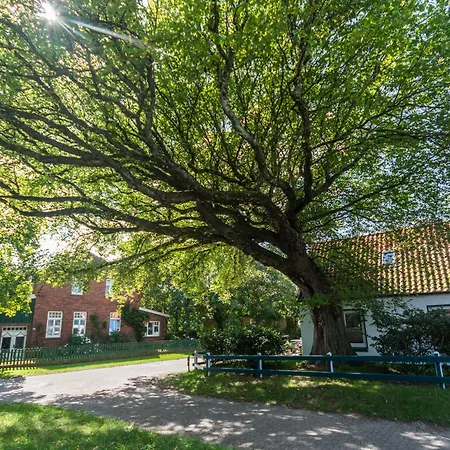 شقة Arche Svea Wiesenpieper سبيكيرأوخ