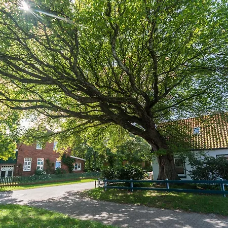 Apartment Arche Svea Wiesenpieper Spiekeroog