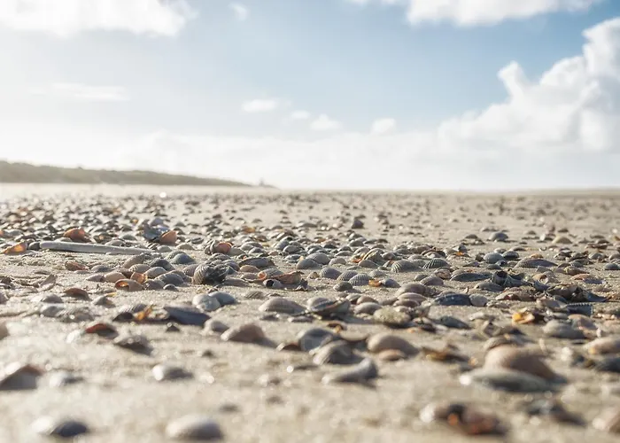 Arche Svea Wiesenpieper Шпикерог