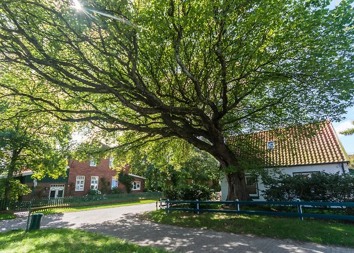 Апартаменты Arche Svea Wiesenpieper Шпикерог